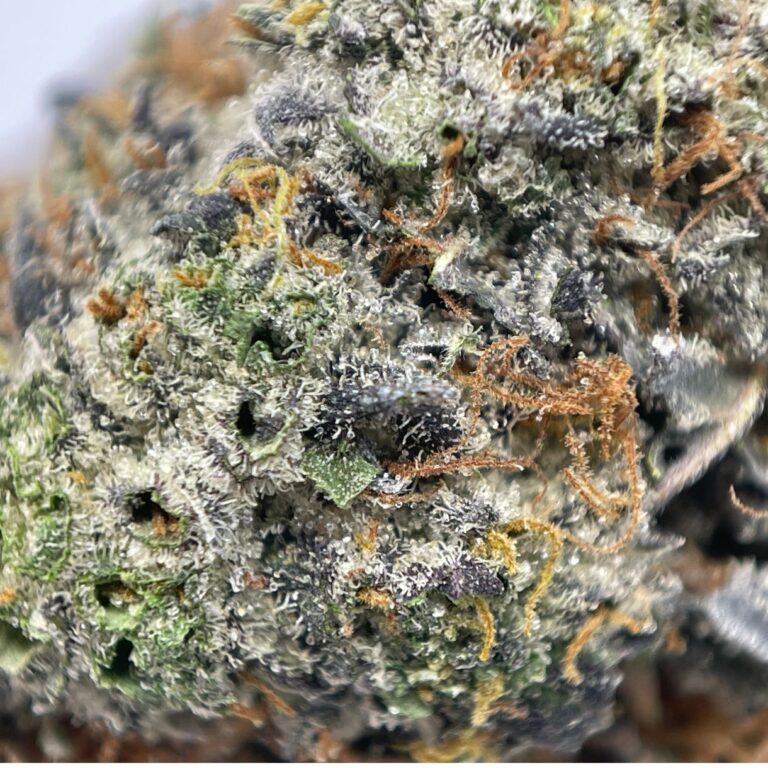 pp sour skit 6