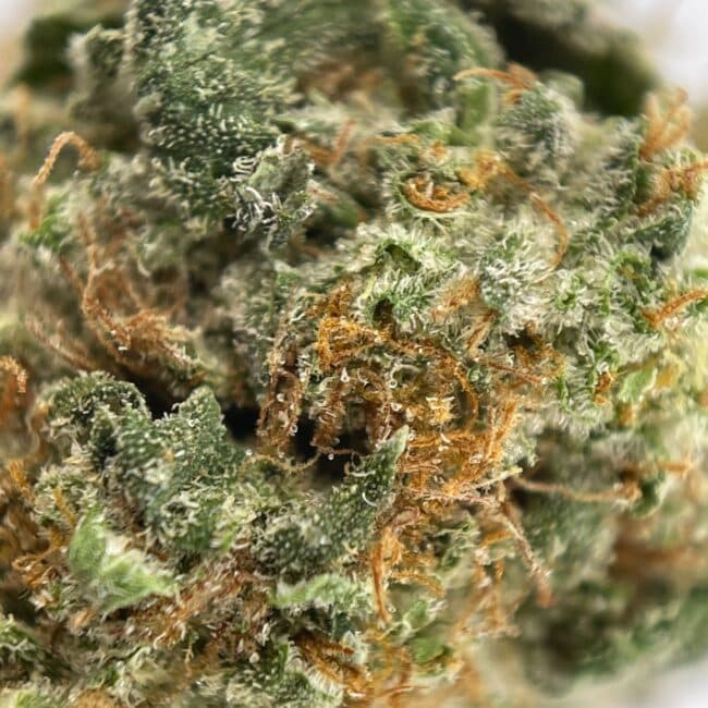 pp sour skittles sm 6