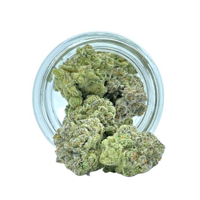 7gr - SUGAR CANE - SATIVA - (AAAA)