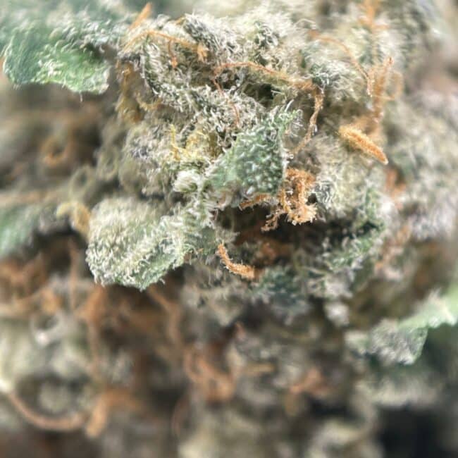 28gr - TRIPLE PASTRY (SMALLS) - BALANCED HYBRID - (AAAA) - Image 2