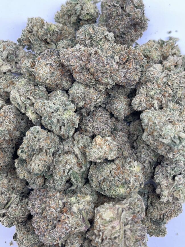 FROSTED GELATO - BALANCED HYBRID - (AAA) 1