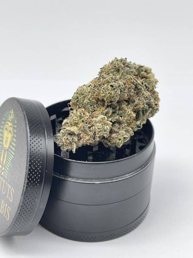 FROSTED GELATO - BALANCED HYBRID - (AAA)