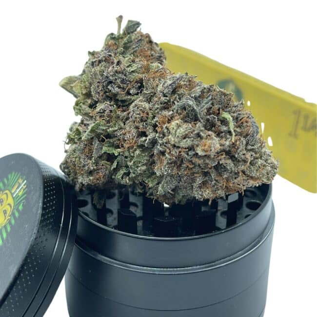 xr:d:DAE2ZDu5OI0:9873,j:2358058170353491470,t:24040401