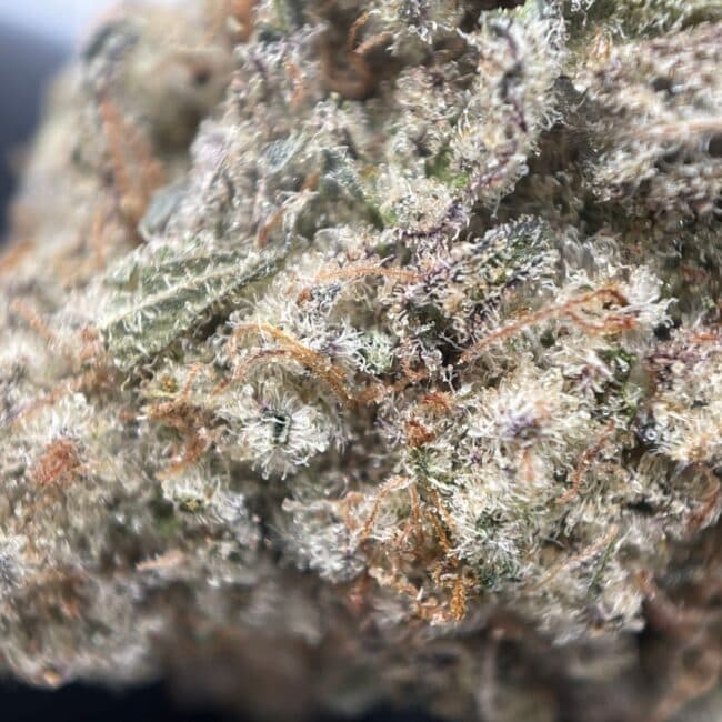 28gr - DREAM CATCHER - INDICA - (AAAA) - Image 2