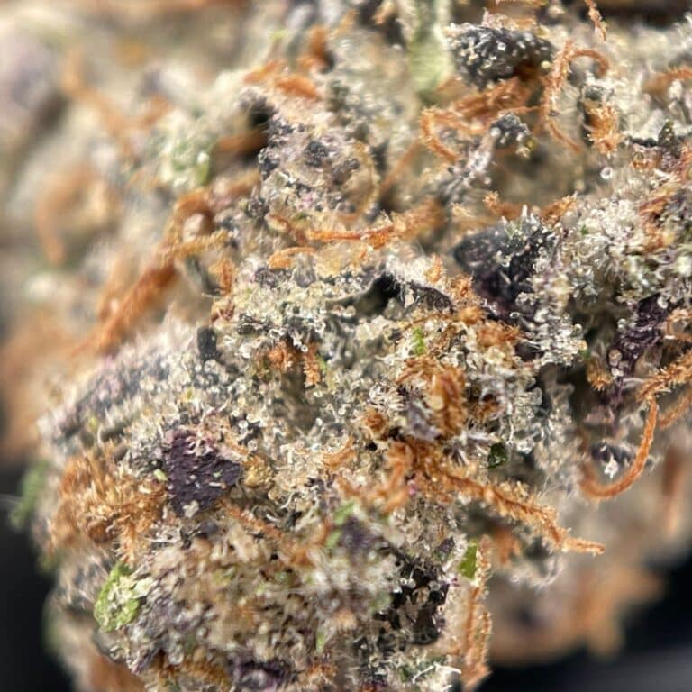 pp grape slush 4