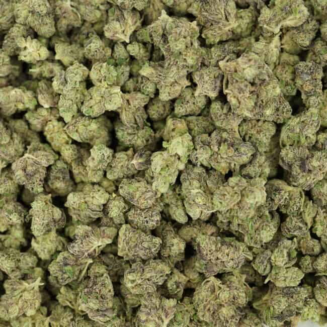 pp jolly rancher smalls full