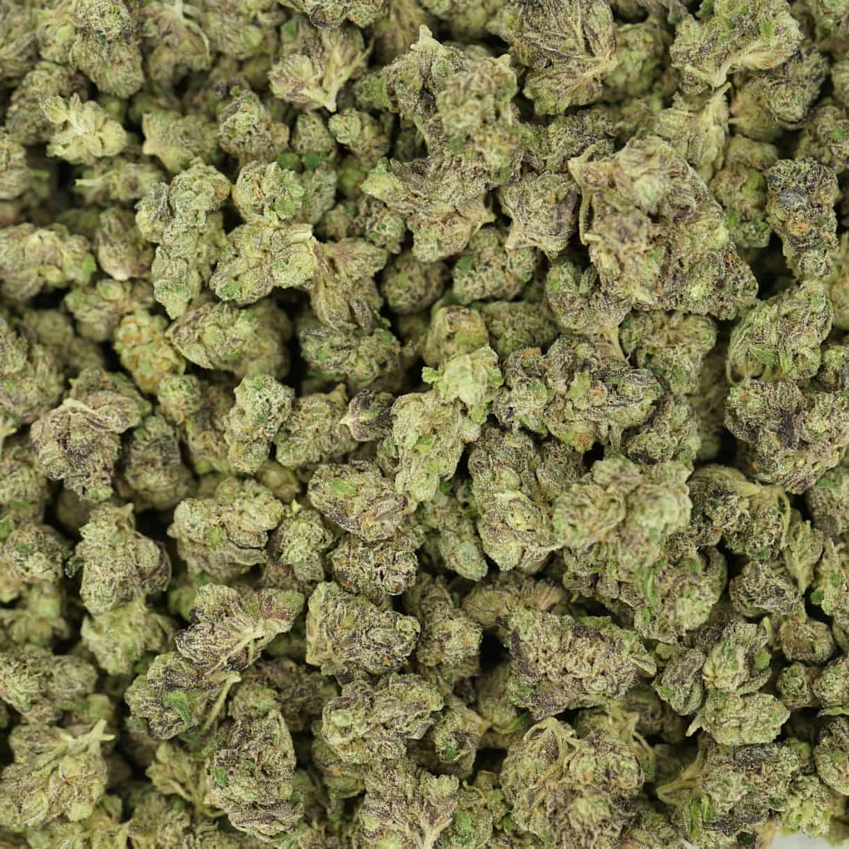 top view of cannabis buds with dense structure, frosty trichomes, and light green coloration