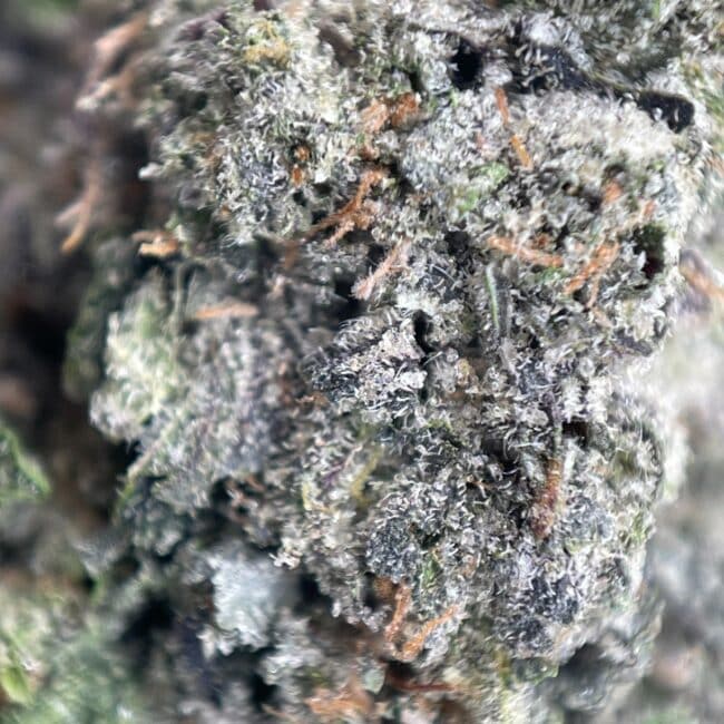 28gr - PINK DEATH - INDICA - (AAA) - Image 2