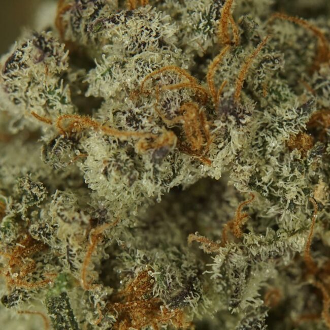 28gr - PURPLE LIGHTNING - BALANCED HYBRID - (AAA) - Image 2