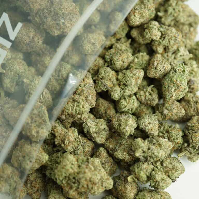 raspberry glue close-up image of cannabis buds spilling out of a clear ZIP-ZAG plastic bag onto a white surface, showing dense green nugs with visible trichomes and orange hairs.