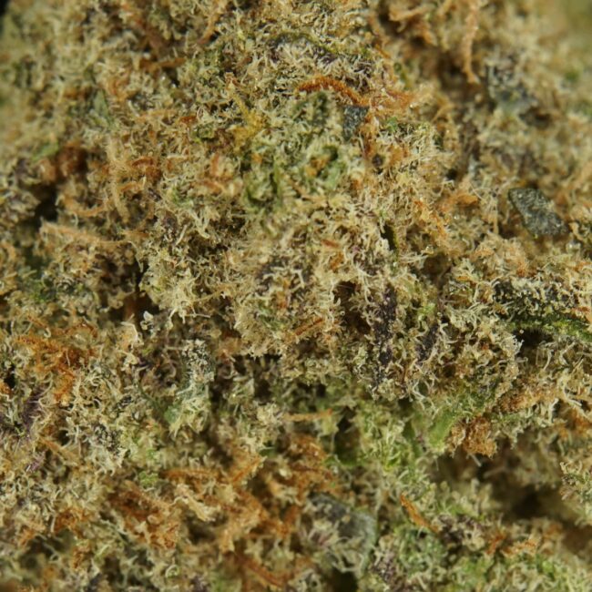 28gr - MAC DADDY - INDICA - (AAA) - Image 2