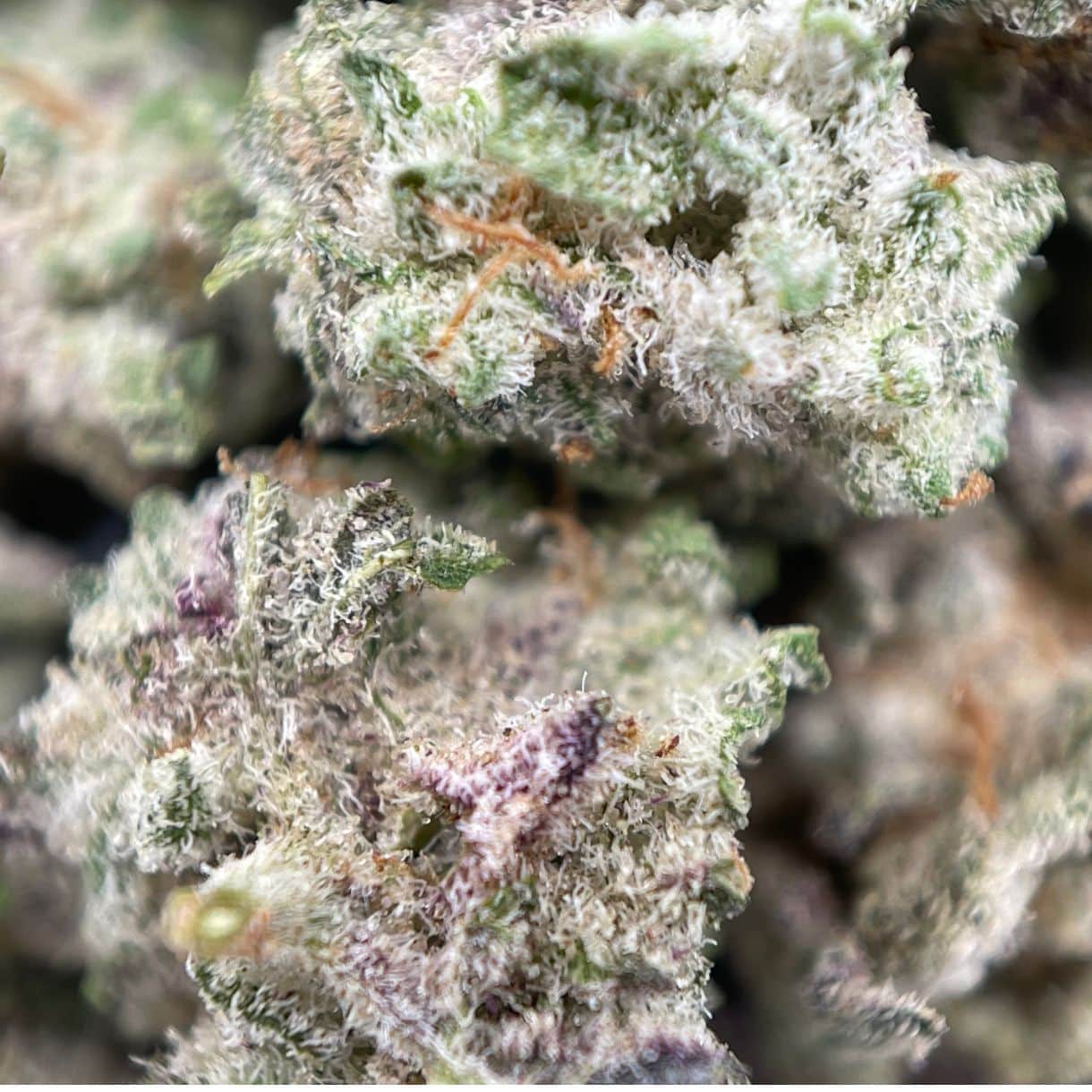 Hybrid Resin Extract