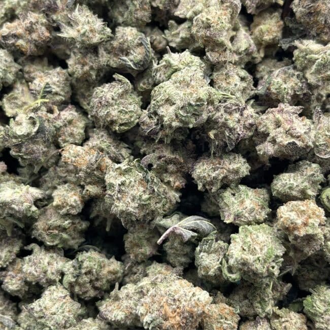 xr:d:DAE2ZDu5OI0:9897,j:7182539487425935155,t:24040603