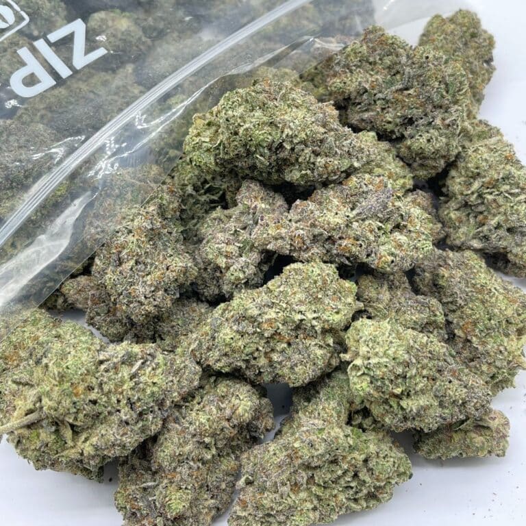 pp bisbul 4