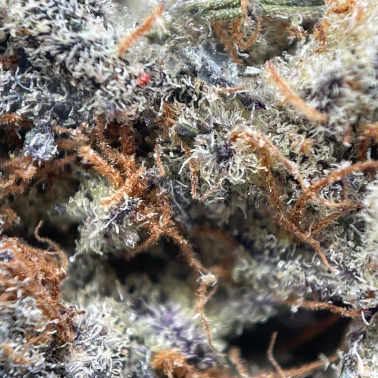 pp og strawb 2