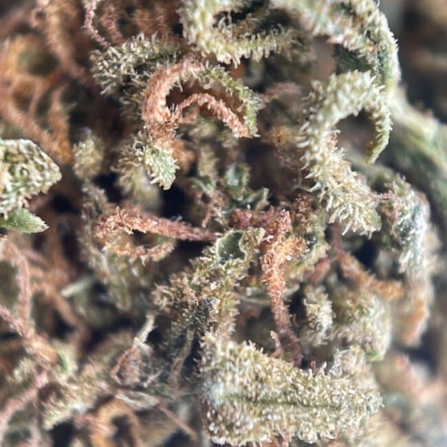 Hybrid Bliss
