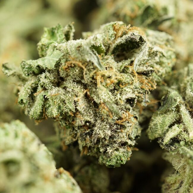 28gr - CAPTAIN'S PINK (SMALLS) - INDICA - (AAA) - Image 2