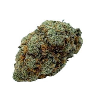 Hawaiian Sativa
