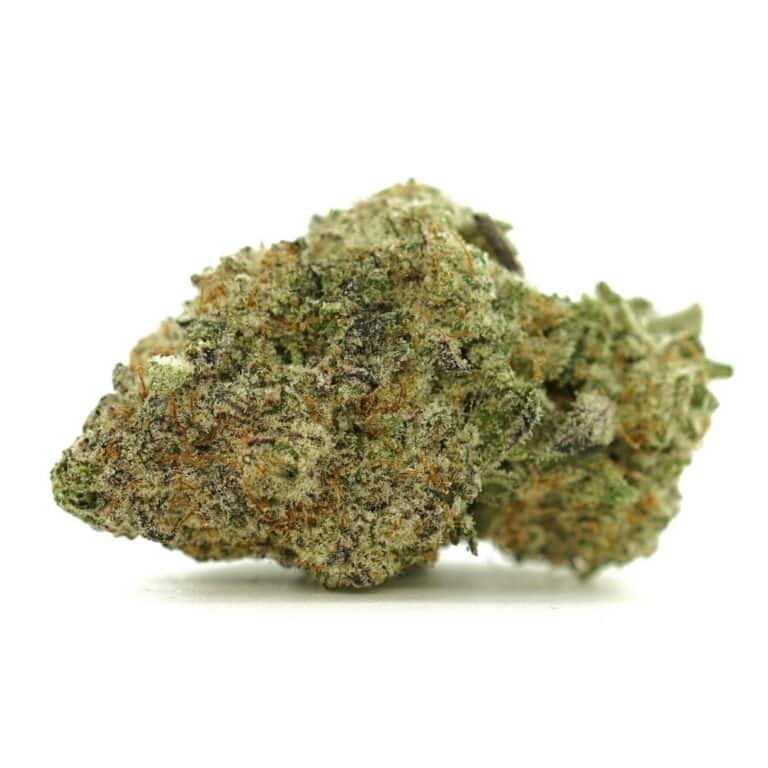 raspberry glue close-up image of cannabis bud with frosty trichomes on a crisp white background