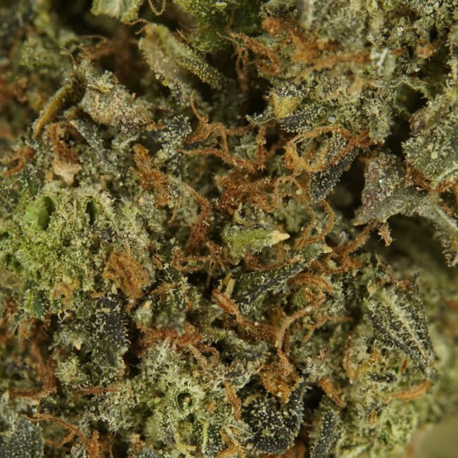 28gr - BLACK PINK DEATH - INDICA - (AAA) - Image 2