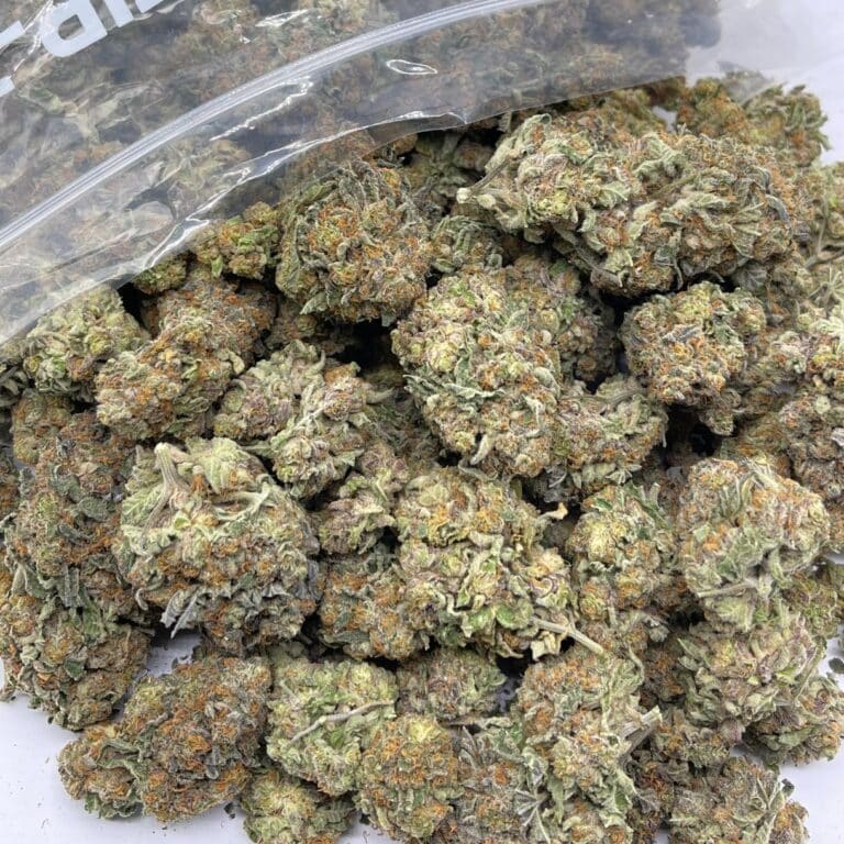 pp cc 4