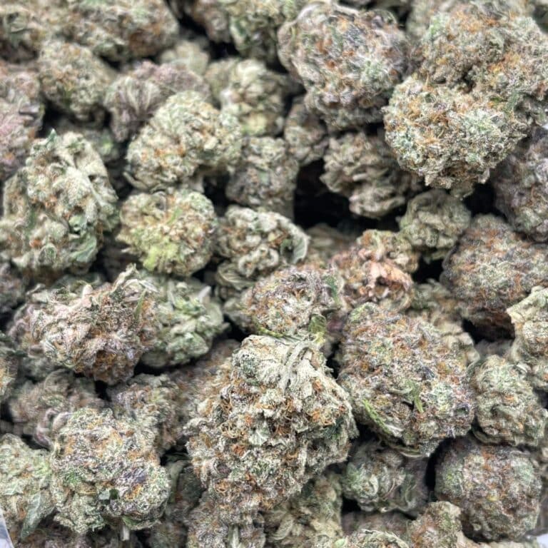 pp fl 9