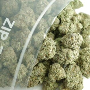 Close-up image of cannabis buds spilling out of a clear ZIP-ZAG plastic bag onto a white surface, showing dense green nugs with visible trichomes and orange hairs.