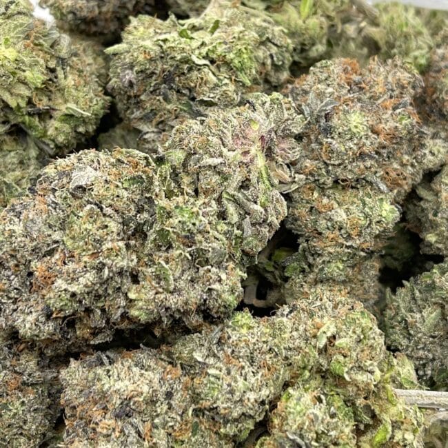 ROCKSTAR (BULK) - BALANCED