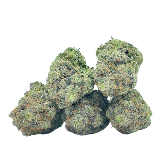 ROCKSTAR (BULK) - BALANCED HYBRID - (AAA)