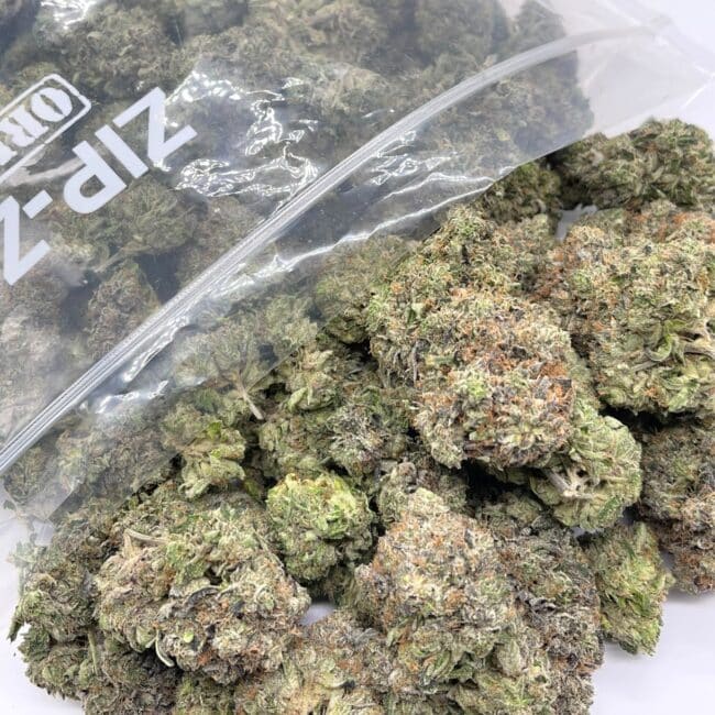 ROCKSTAR BULK