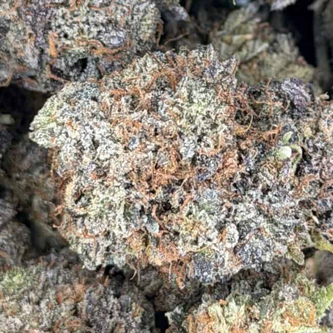 pp sour jamaican lime 2