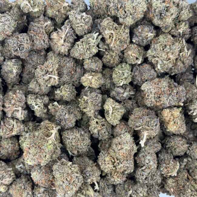 pp sour jamaican lime bulk