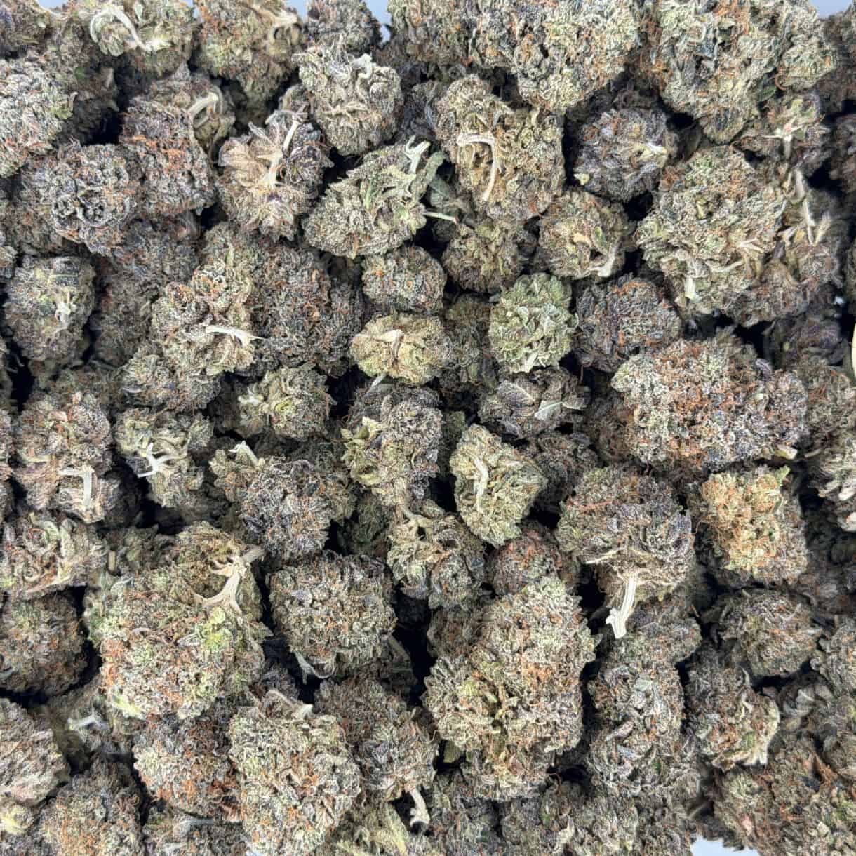 28gr - SOUR JAMAICAN LIME - BALANCED HYBRID - (AAA) - Image 3