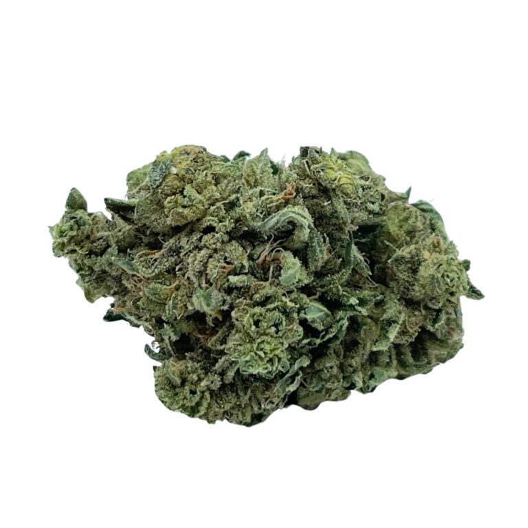 PP lsd 009