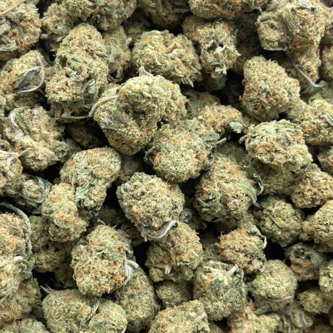 pp gsc