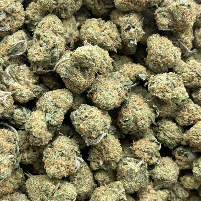 pp gsc