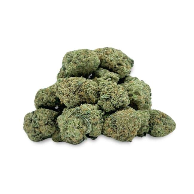 pp gsc sm