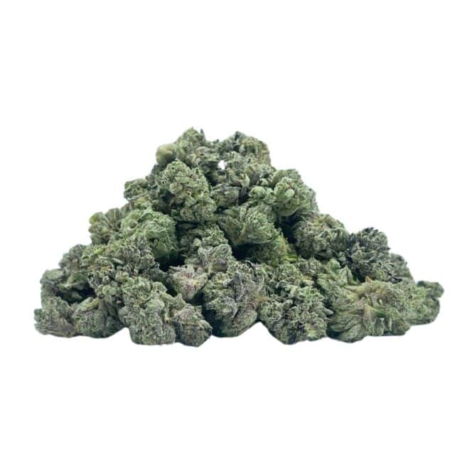pp pd b 2