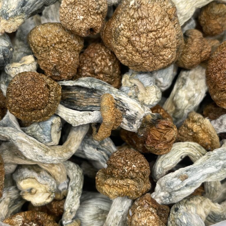 penis 9