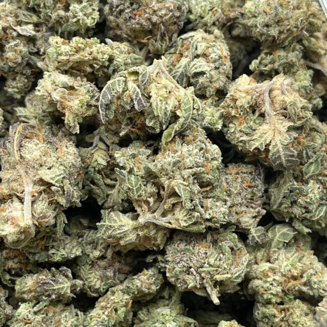 1/2p - ANIMAL SHERBET (SMALLS) (BULK) - INDICA - (AAA) - Image 4