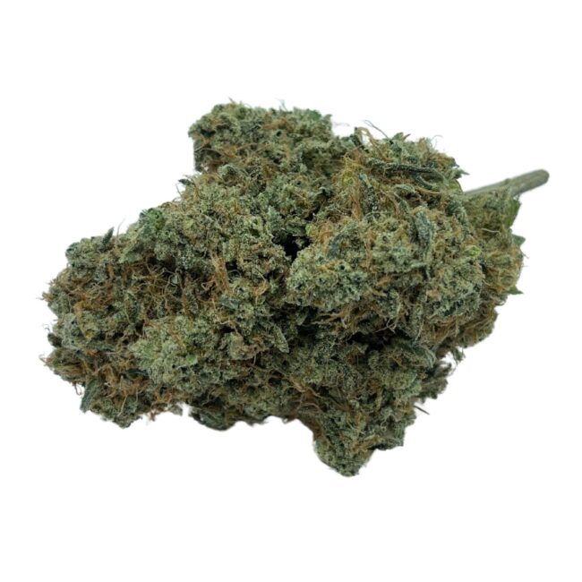 28gr - I-95 - INDICA -1