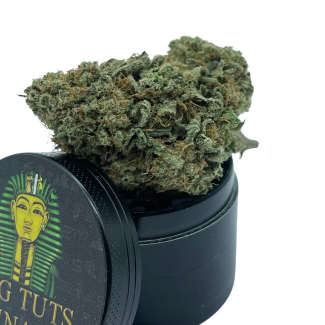 28gr - I-95 - INDICA - 1