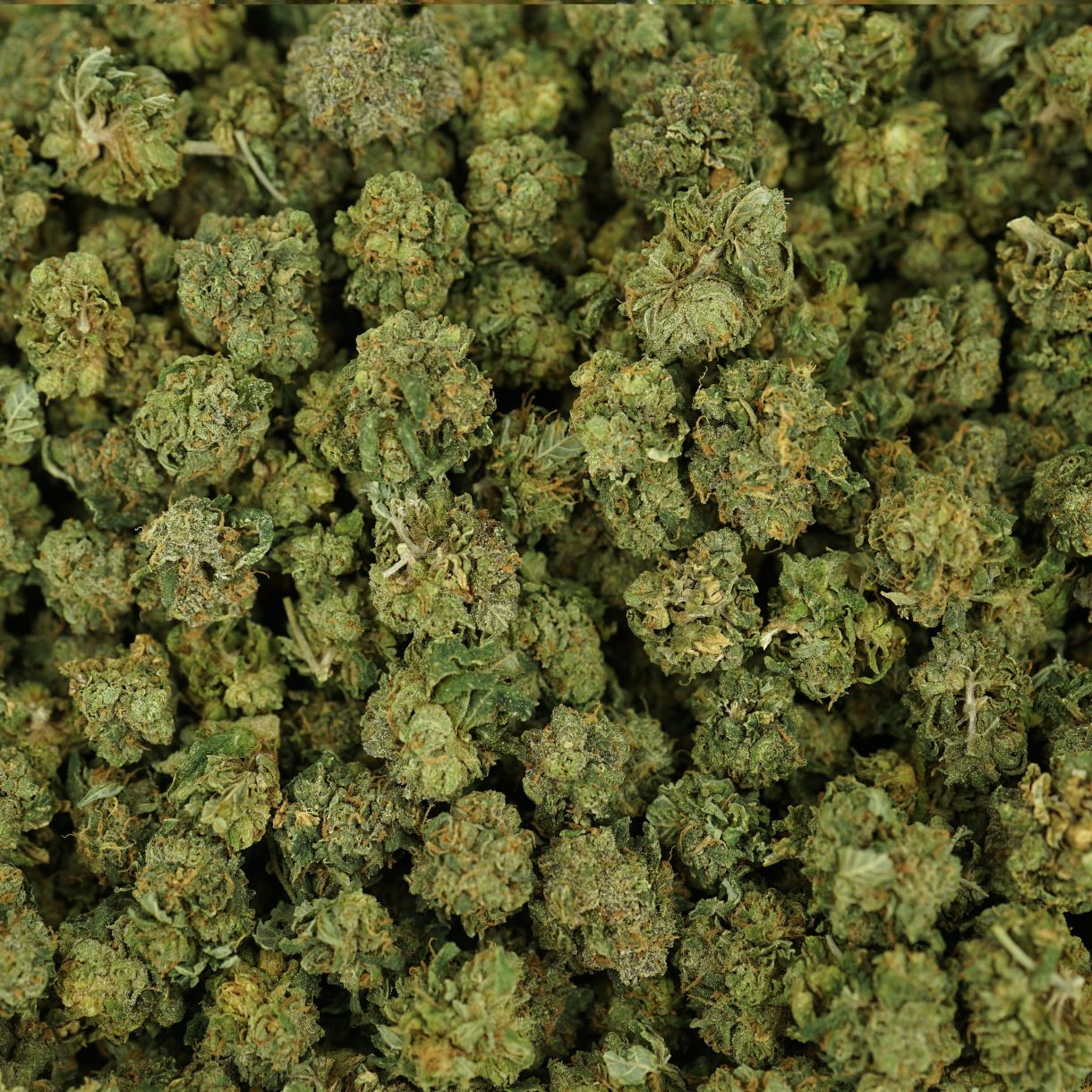 28gr - PURE MICHIGAN (SMALLS) - INDICA - (AA) - Image 3