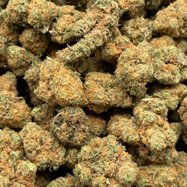 CHOCOLOPE -