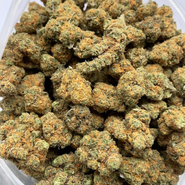 CHOCOLOPE (BULK) - SATIVA - (AA)
