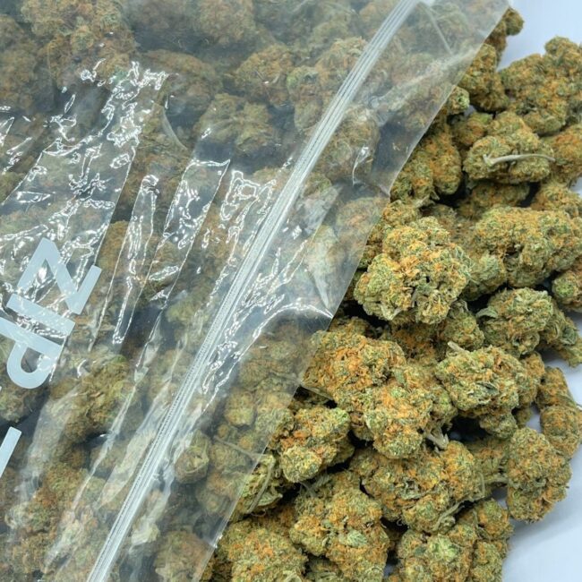 CHOCOLOPE (BULK)