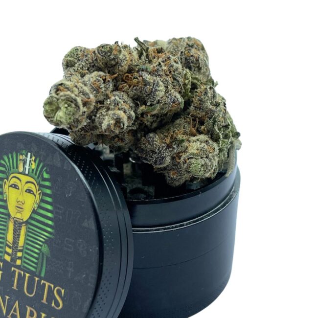 GRAPE GAS - AAA