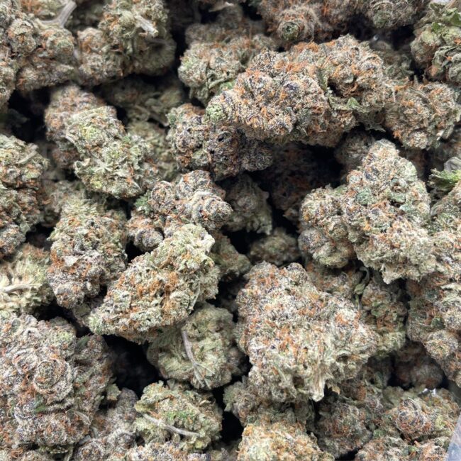 CANDY STORE (BULK)