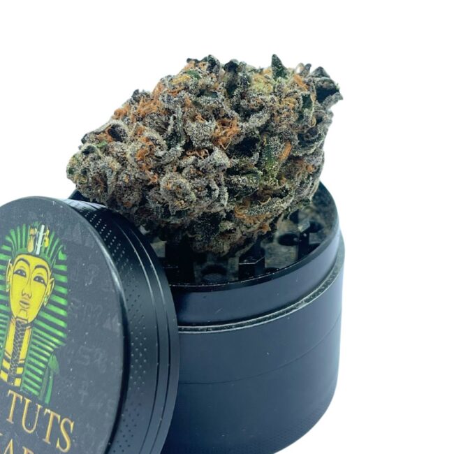 GELATO - BALANCED