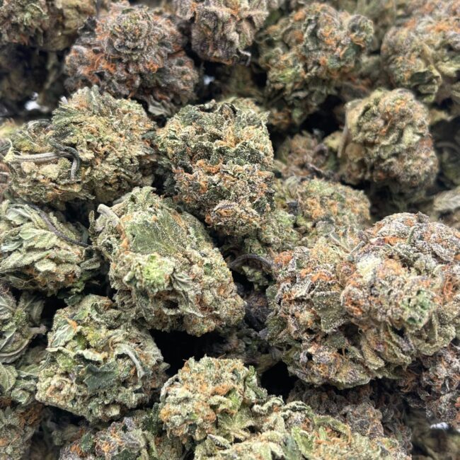 GELATO